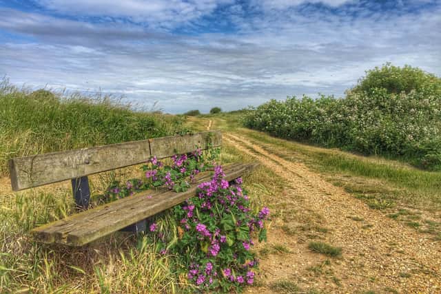 Milton Common is a place Matt loves to walk. Picture by Mike Edwards