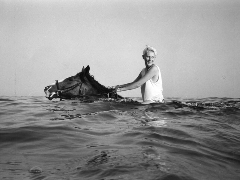 Kerry Wilson on George the horse swimming off Hayling beach during a heatwave in August 1990. The News PP596