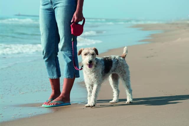 Fareham Borough Council are proposing an additional seasonal dog exclusion.