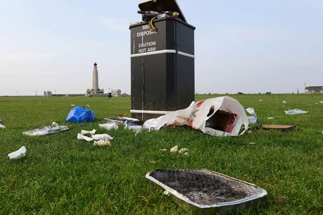Disposable barbecues not only can litter the area, but can prove dangerous when the ground is dry
Picture: Morten Watkins/Solent News & Photo Agency