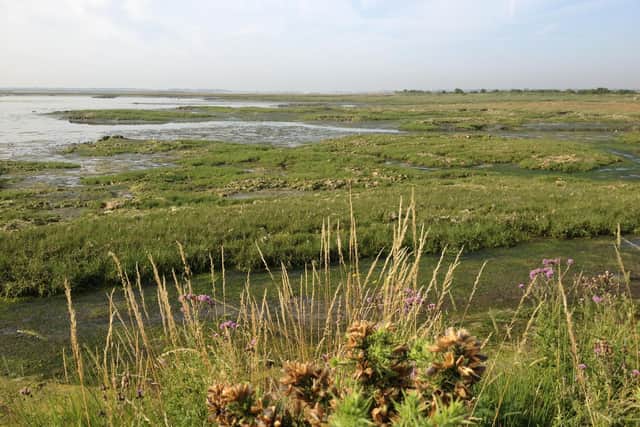 Salt marshes such as those found at Chichester Harbour can be used as a natural way to control levels of nitrates and carbon dioxide.