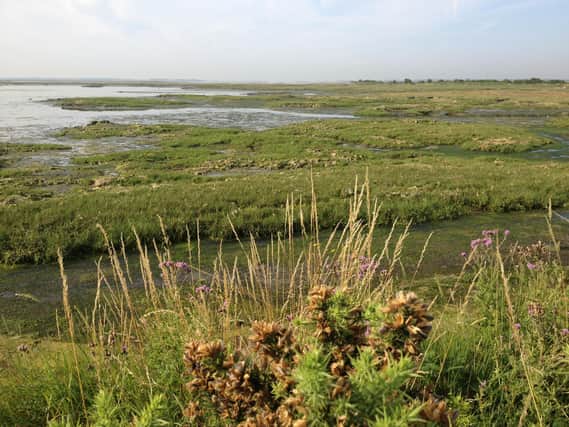 Salt marshes such as those found at Chichester Harbour can be used as a natural way to control levels of nitrates and carbon dioxide.