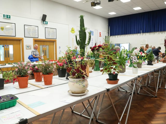 There were many varieties of plants on show.