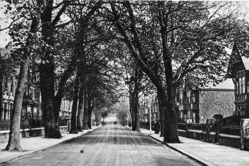 Looking down Stubbington Avenue, North End.  Photo: Robert James postcard collection
