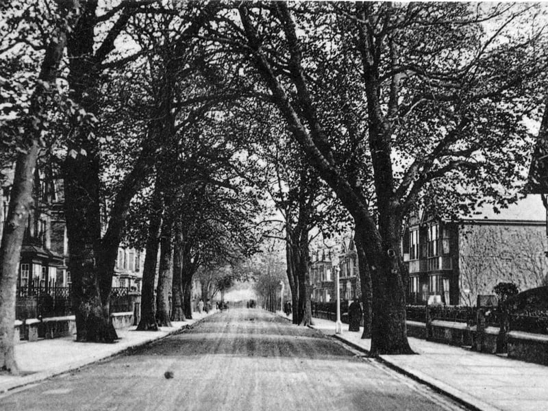 Looking down Stubbington Avenue, North End.  Photo: Robert James postcard collection