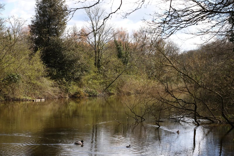 Foxes Forest in Hilsea is the perfect walk for all of the family taking in the wooded area across the top of the city leading from the Hilsea Roundabout to Eastern Road. With ducks to feed, trees hide behind and the earth ramparts of Hilsea Lines to explore it is perfect for all ages. And if you fancy a cuppa afterwards head over to the Lido side which has the splendid little cafe next to the wakeboard centre as well as the parks and pump track (if you little ones still have any energy left).Picture: Sam Stephenson.