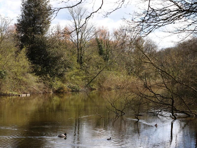 Foxes Forest in Hilsea is the perfect walk for all of the family taking in the wooded area across the top of the city leading from the Hilsea Roundabout to Eastern Road. With ducks to feed, trees hide behind and the earth ramparts of Hilsea Lines to explore it is perfect for all ages. And if you fancy a cuppa afterwards head over to the Lido side which has the splendid little cafe next to the wakeboard centre as well as the parks and pump track (if you little ones still have any energy left).Picture: Sam Stephenson.