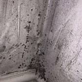 Mould has been reported as a problem in some privately rented student accomodation.