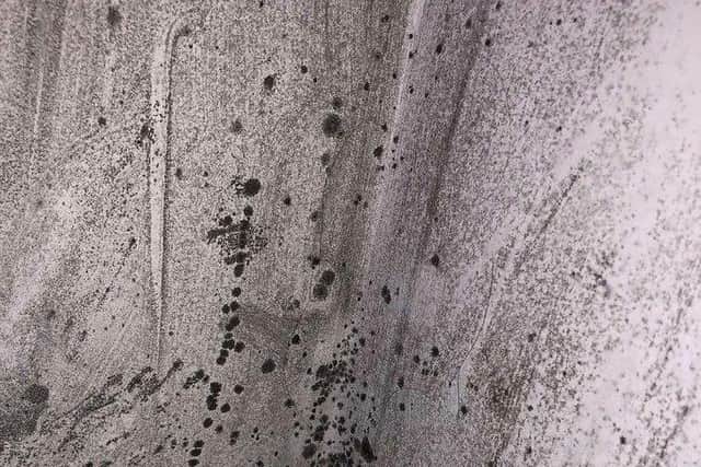 Mould has been reported as a problem in some privately rented student accomodation.