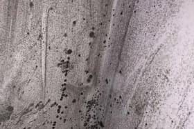 Mould has been reported as a problem in some privately rented student accomodation.