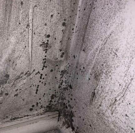 Mould has been reported as a problem in some privately rented student accomodation.