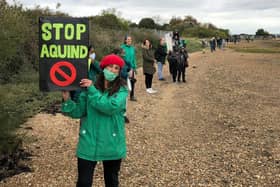 Protesters make their voices heard over the plans for Aquind to run interconnector cables through Portsmouth. Pictured: Eastney resident Lynne Harvey on October 10, 2020 Picture: Richard Lemmer