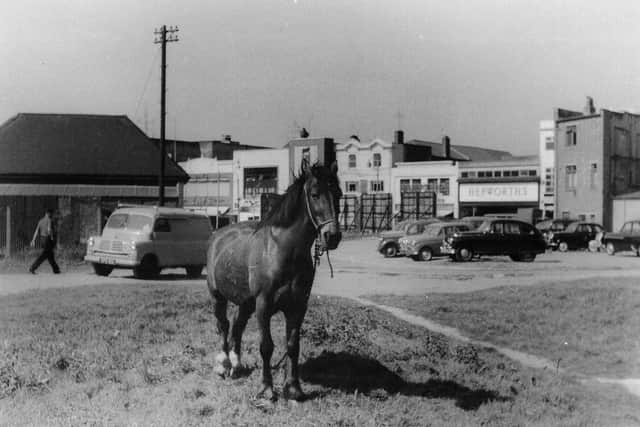 A scene which many will recognise when horses (for rag and bone men or fruit traders) were tethered to eat grass on bomb sites. This was taken looking west from the corner of Lake Road towards what is now Market Way - The horse's head obscures Martha's pub.