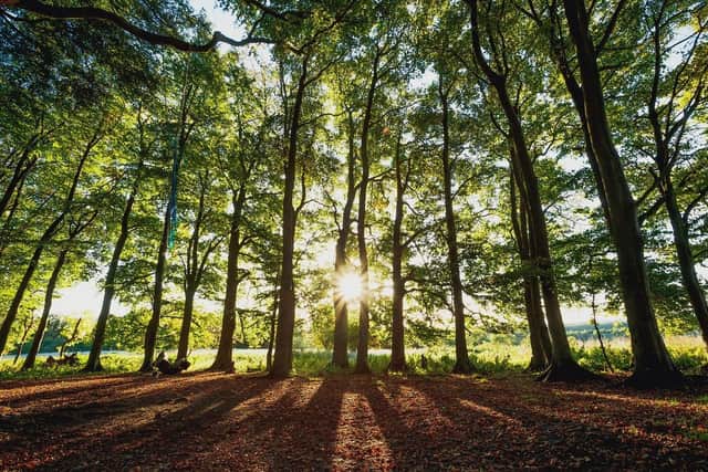 The Countryside Climate Network is calling on funds to tackle climate change in rural areas. Picture from South Downs National Park