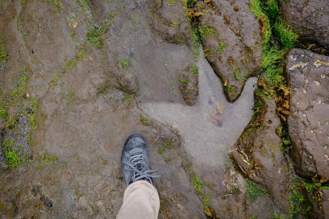 In April 2018, enormous 170-million-year-old prehistoric footprints were found on the Isle of Skye in Scotland (Photo: Shutterstock)
