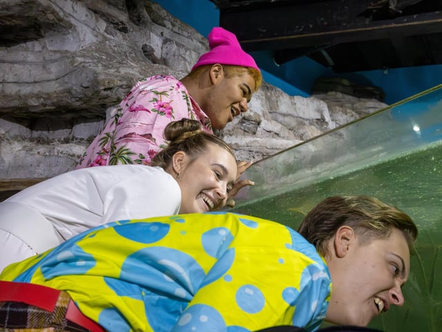 Pictured - Casper Horn, 16 (SpongeBob), Stanley Pearl (Patrick), Ella Burgos, 17 (Sandy)  and Jemima Rees, 14 (Patchy the Pirate)Photos by Alex Shute