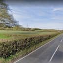 The collision happened in Forest Road, Denmead, on Saturday. Picture: Google Street View