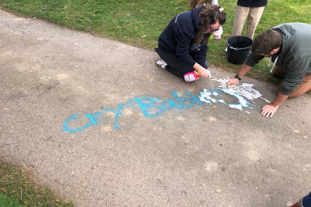 The vandal has sprayed the words 'cry babies', seemingly a reference to reactions after a similar attack two weeks ago. Picture: Richard Lemmer