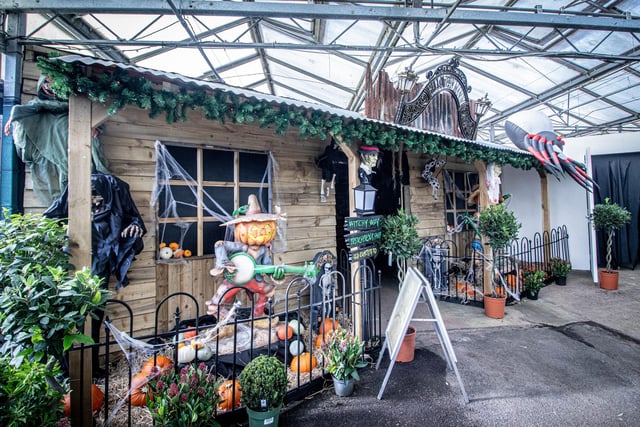 Get into the spooky spirit with the Keydell Nursery Halloween Walk 2024 in Horndean.    Picture: Habibur Rahman