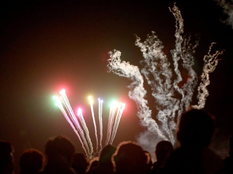 Portsmouth City Council's firework display on Southsea CommonPicture: Chris Moorhouse (jpns 011123-51)