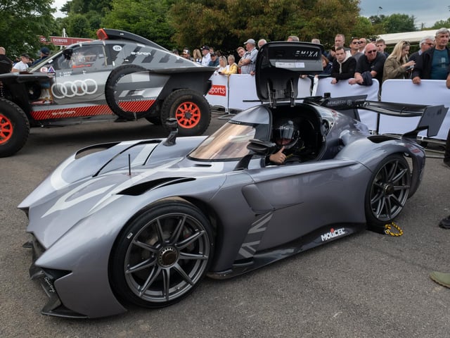 Petrolheads flocked to the motoring festival which saw countless amounts of supercars and other vehicles.