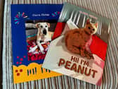Claire has written two books about her adorable pets - Animal News Agency