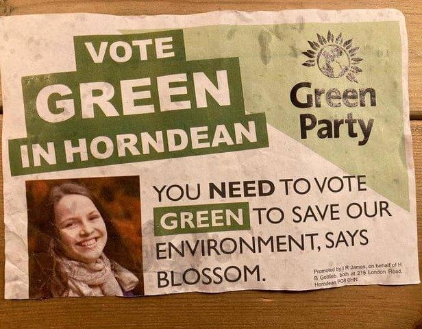 The faked and dumped Green Party election leaflet.