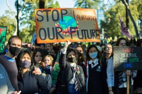 Student protesters striking for climate change action. Picture by Shutterstock