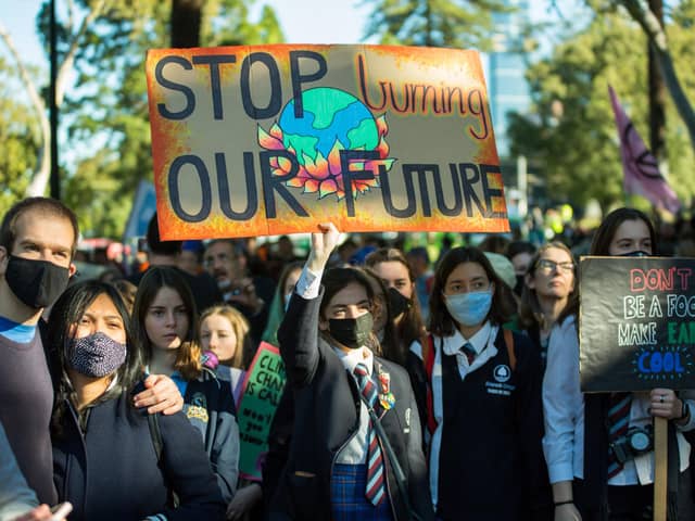 Student protesters striking for climate change action. Picture by Shutterstock