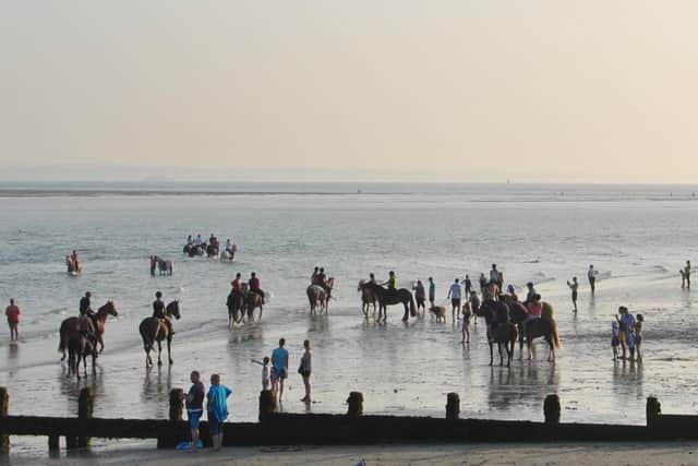 Horses pictured being ridden on Hayling beach. Photo: Wayne Moody
