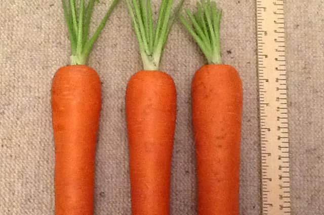 Now's the time to thin autumn-sown carrots.