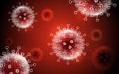 This is what coronavirus looks like. Picture: Shutterstock