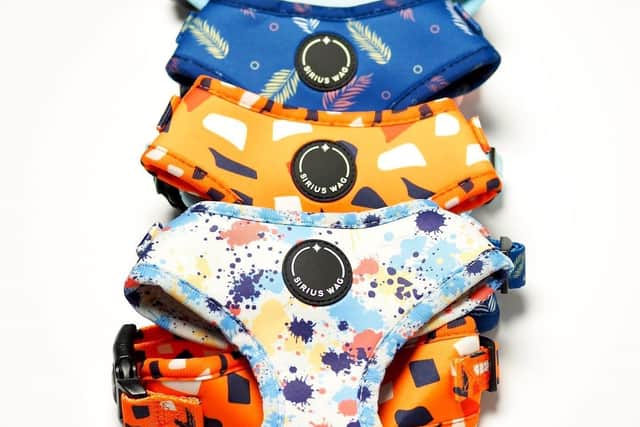 Sirius Wag harnesses