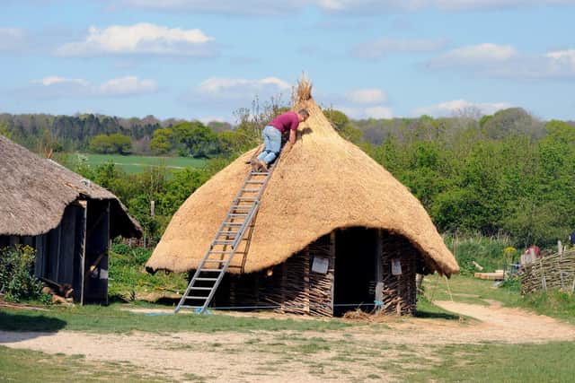 Butser Ancient Farm in Chalton.

Picture: Sarah Standing (260422-5071)