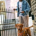 Nearly half of UK dog owners walk their pets in dangerous heat
