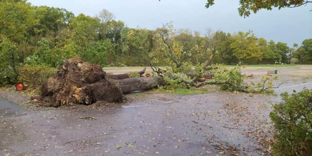 Photo issued by Marwell Zoo showing damage to Marwell Zoo car park in Hampshire caused by a tornado. Issue date: Monday October 24, 2022.