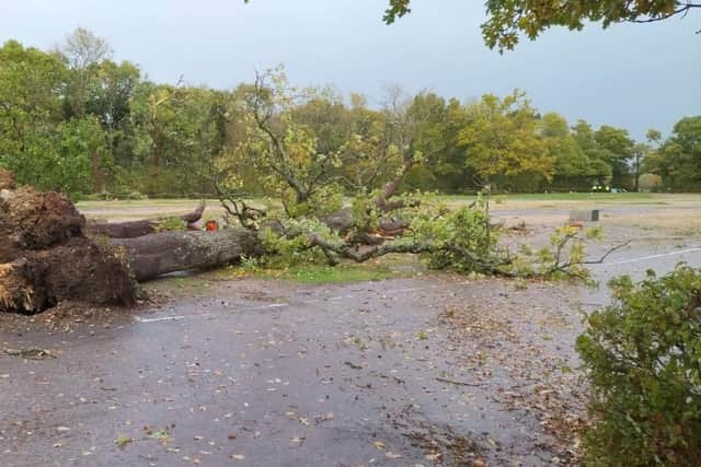 Photo issued by Marwell Zoo showing damage to Marwell Zoo car park in Hampshire caused by a tornado. Issue date: Monday October 24, 2022.