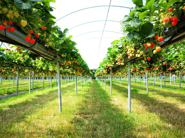 An article published on April 15, detailing how furloughed staff can apply for farm work - providing their contract allows it - was the 10th most read story of the year. It received 51,000 page views