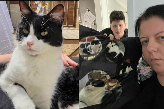 Lisa Chamberlain and her son Macauley are praying for the return of their cat, Minnie, who went missing 13 weeks ago.
Picture: Lisa Chamberlain.