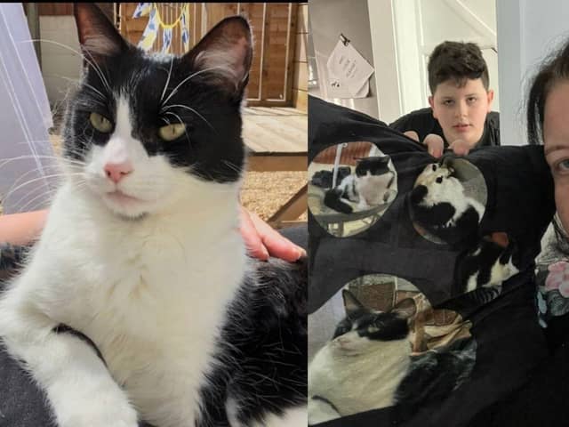 Lisa Chamberlain and her son Macauley are praying for the return of their cat, Minnie, who went missing 13 weeks ago. 
Picture: Lisa Chamberlain.