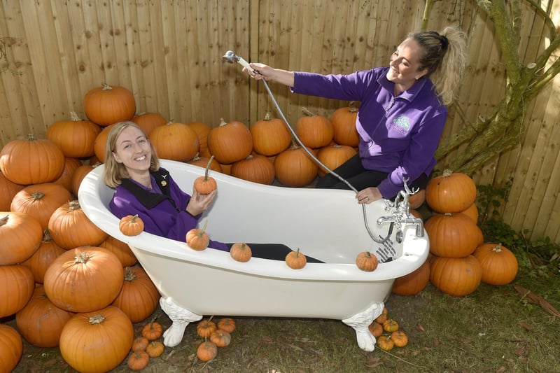 Pictured is: (l-r) Rosie Smith, sales assistant, and Nicky Pycroft, supervisor at Stoke Fruit Farm shop. 
Picture: Sarah Standing (101023-9229)