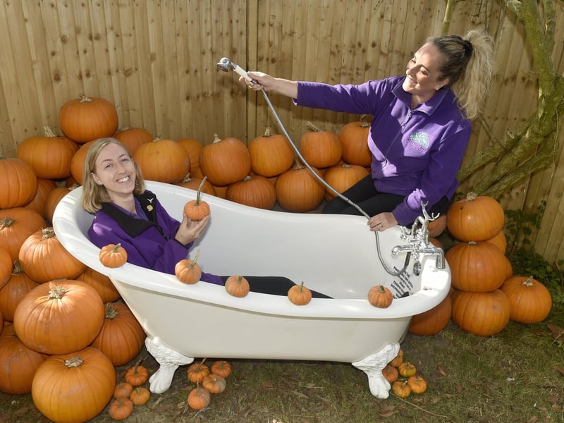 Pictured is: (l-r) Rosie Smith, sales assistant, and Nicky Pycroft, supervisor at Stoke Fruit Farm shop.
Picture: Sarah Standing (101023-9229)