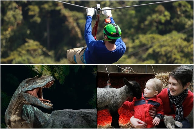 Ride the zip wire near Wirksworth, meet farmyard animals at Chatsworth or learn all about dinosaurs in Chesterfield, clockwise from top.