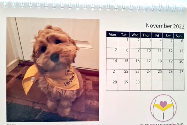 The Endometriosis South Coast Calendar 2022The Endometriosis South Coast Calendar 2022