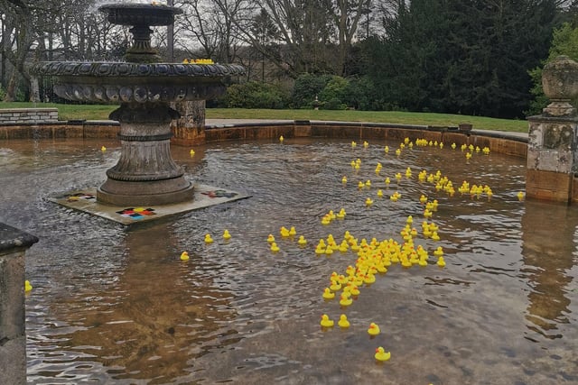 You'd be quackers to miss out on the chance to explore the grounds of this magnificent residence and the opportunity to fish a plastic duck out of the fountain. It's free to look around the gardens during February when you can have a tour of the house for £10. Go to www.thornbridgehall.co.uk/calender