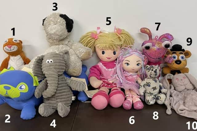 Do you recognise these lost teddies? Picture: South Western Railway