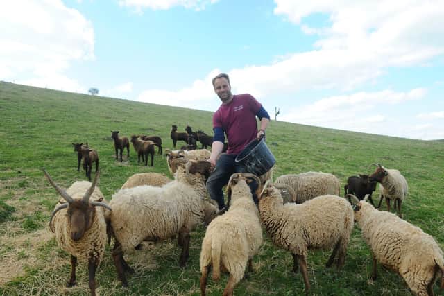 Butser Ancient Farm in Chalton are celebrating their 50th anniversary.
Pictured is: Simon Jay, co director of Butser Ancient Farm.
Picture: Sarah Standing (260422-2639)