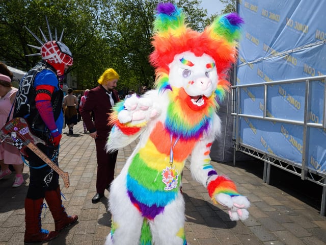 A Furry Animal. Picture: Keith Woodland (110521-216)