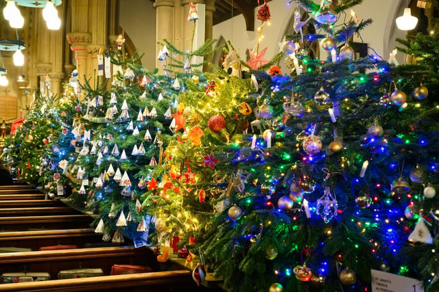 Pictured is: Some of the decorated trees.

Picture: Keith Woodland (071221-6)