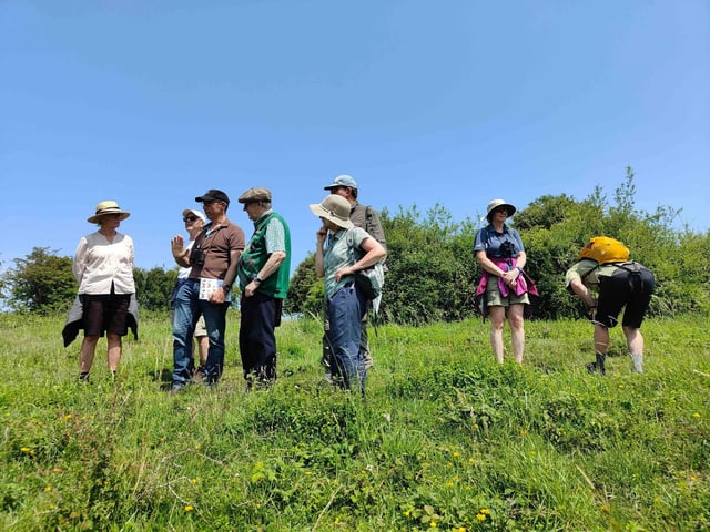 Butterfly Conservation Walk